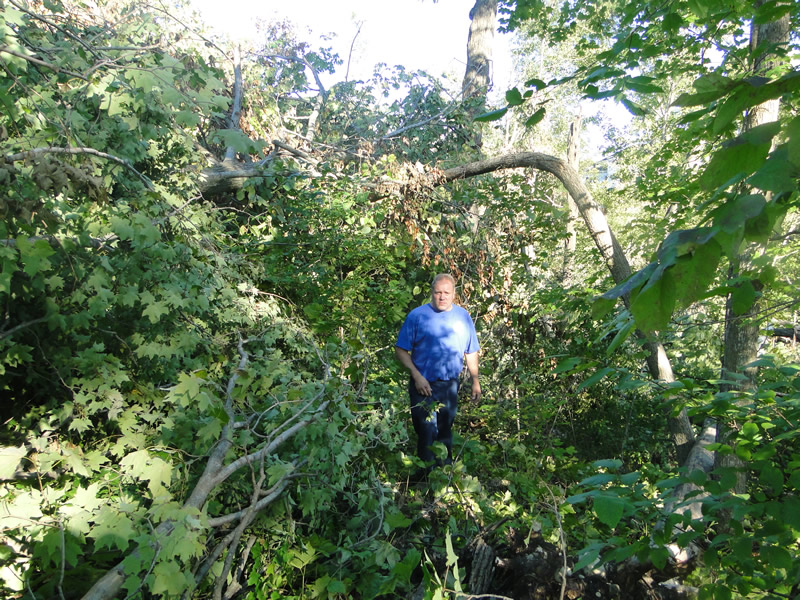 /pictures/Trail Clean Up 2018/DSC06586.jpg